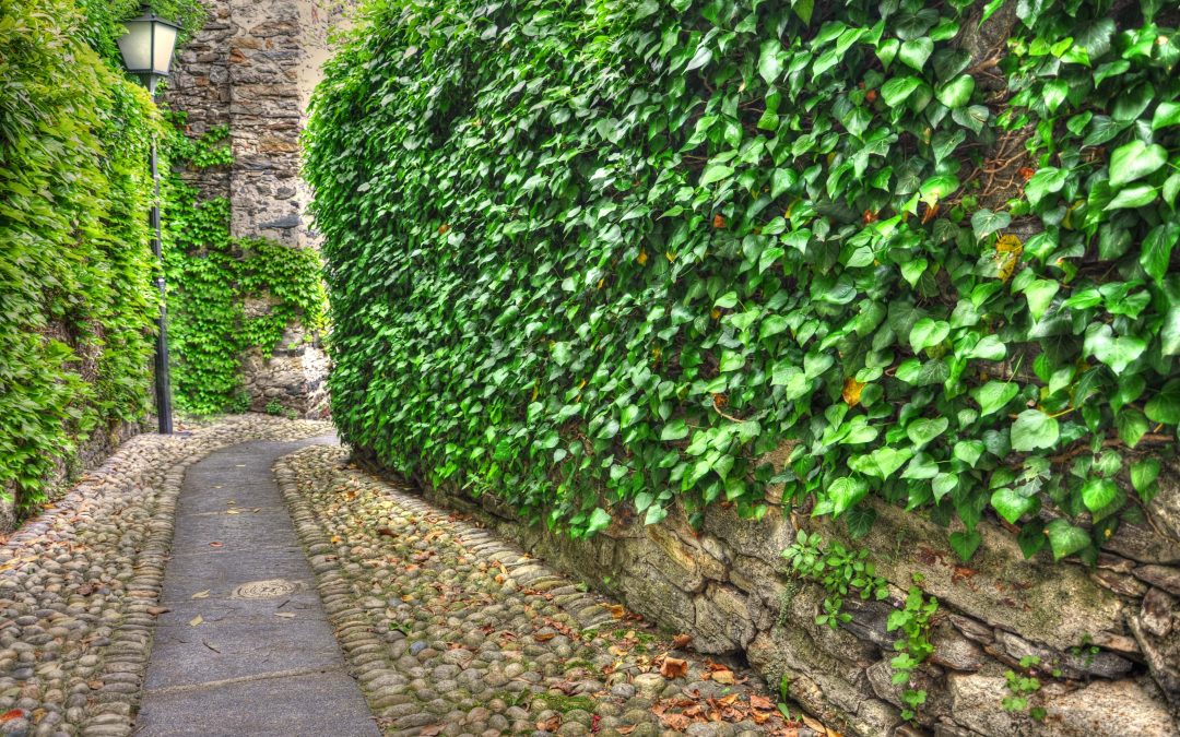 Elevate Your Landscape with Durable Retaining Walls